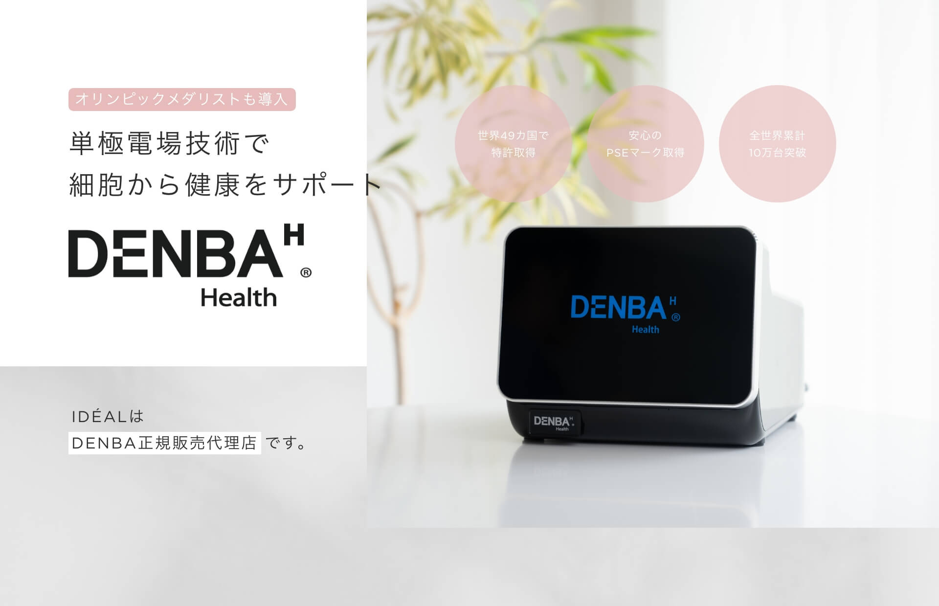 DENBA 愛知県 購入